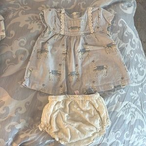 Pink Chicken Top and Bloomer Set 6-12 Months